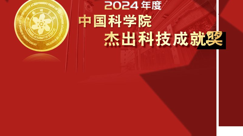 企业数字化落地，团队搭建关键要素解析**